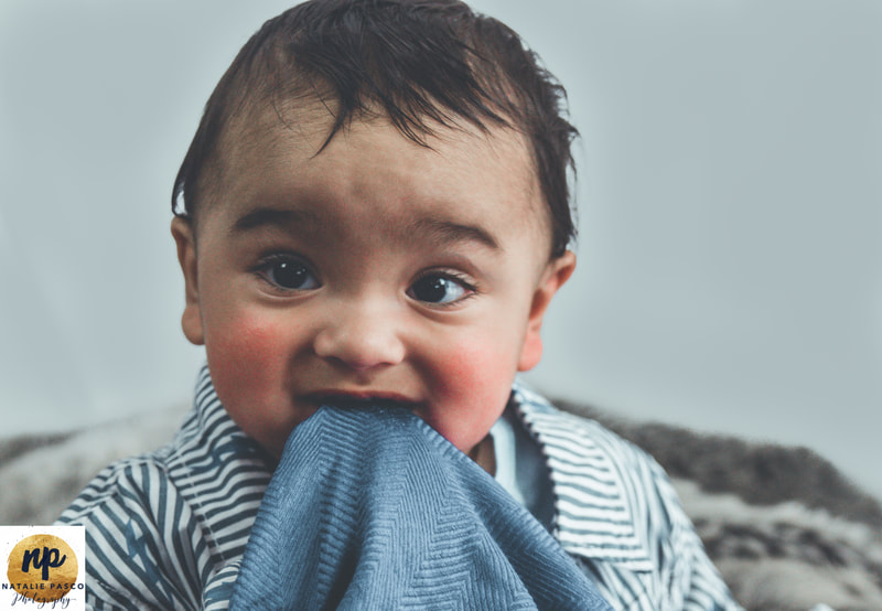 Auckland Baby Photographer