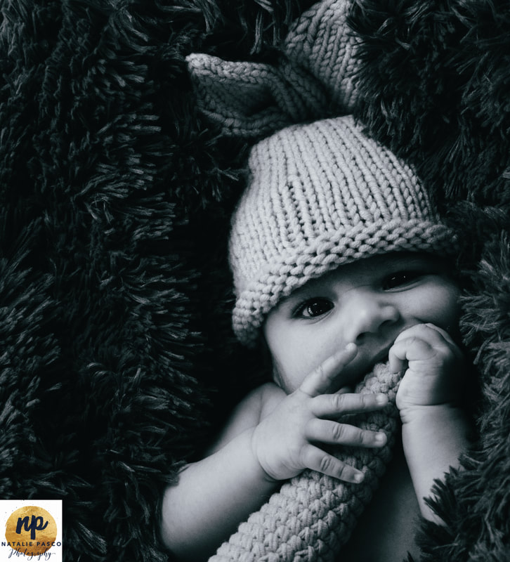 Auckland Baby Photographer